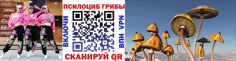 Купить где  Алзамай  Галлюциногенные грибы Magic Shrooms 