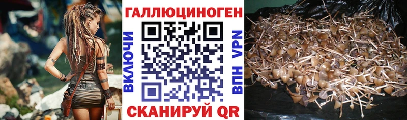 Псилоцибиновые грибы GOLDEN TEACHER Алзамай